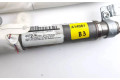 Боковая подушка безопасности 8T8880742A, 8T8880742 Audi A5 Sportback 8TA