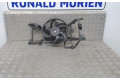 Комплект вентиляторов 214810048R, 214810048R Dacia Sandero