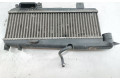 Интеркулер Peugeot 306