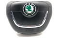 Подушка безопасности водителя 1Z0880201AH Skoda Octavia Mk2 (1Z)