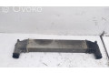 Интеркулер 08323856, 132002748A Ford Galaxy 1.9