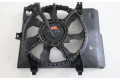 Вентилятор радиатора 2538007650, 2538007650 KIA Picanto