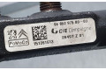 Топливная рампа 9685297580, CIECOMPIEGNE Citroen DS3