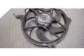 Вентилятор радиатора     NICHTZUTREFFEND    Citroen C4 I 