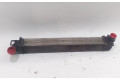 Интеркулер 144961285R Renault Scenic RX