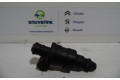 Форсунка IW054, 280311 Citroen Xantia XU10J2C-LZ(RFX)