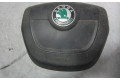 Подушка безопасности двери 5J0880201H Skoda Fabia Mk2 (5J)