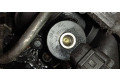 Форсунка 0445110239, 0445110239 Citroen C4 I