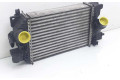 Интеркулер 13283251, R3445005 Opel Meriva A