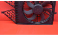 Вентилятор радиатора Skoda Fabia Mk2 (5J)