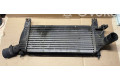 Интеркулер 14461EB360 Nissan Pathfinder R51