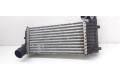 Интеркулер 2027395, BV619L440CK Ford Transit - Tourneo Connect