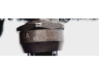 Форсунка 038130073AG, 0414720215 Volkswagen Jetta V BKC