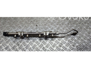 Топливная рампа 04E133320 Skoda Fabia Mk3 (NJ)