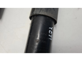 Задний aмортизатор      