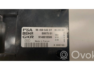 Блок управления климат-контролем 96450543XT, B067501 Citroen Xsara Picasso