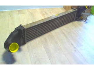 Интеркулер 6001548727, 6001548727 Dacia Logan I