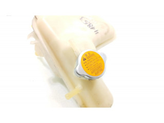 Расширительный бачок охлаждающей жидкости