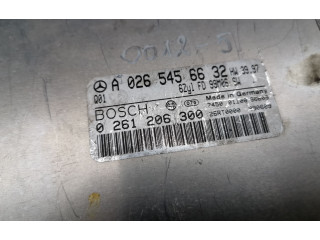 Блок управления двигателя A0265456632, 0261206300   Mercedes-Benz ML W163