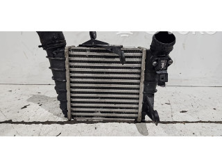 Интеркулер     Volkswagen Polo 