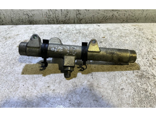 Топливная рампа 059130089D, 004217L2   Audi A6 S6 C6 4F  