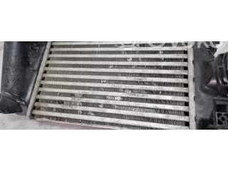 Интеркулер     Renault Dacia Duster 