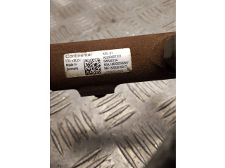 Топливная рампа A2C20001221, H820015617 Renault Scenic III - Grand scenic III для двигателя K9K832