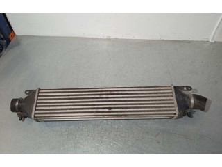 Интеркулер Fiat Grande Punto