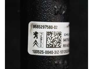 Топливная рампа 9685297580 Citroen C3 1.6