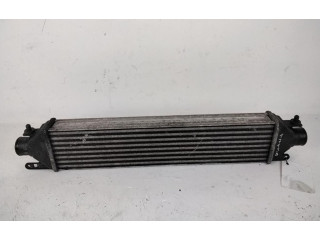 Интеркулер  51783791, 192A8000   Fiat Bravo 