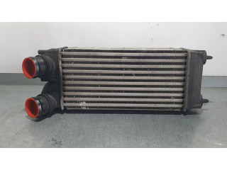 Интеркулер 9656503980 Citroen C4 I 1.6