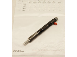 Комплект форсунок 2471LY23F53    Renault Clio III   