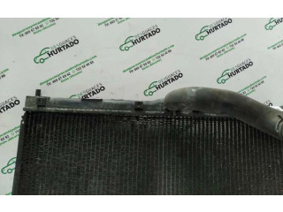 Радиатор охлаждающей жидкости 1220003650, RADIADORAGUA Honda Accord