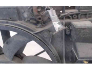 Вентилятор радиатора     1253K2, 21801489    Citroen C4 I 