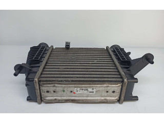 Интеркулер  8200471885B, 8200471885   Renault Clio III 