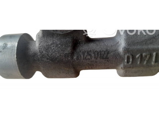 Топливная рампа H8200610770, 0087001830 Renault Scenic III - Grand scenic III