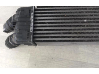 Интеркулер  00000384N1, 00000384N1   Citroen C3 Picasso 