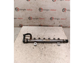 Топливная рампа 076130093C, 008G21 Volkswagen Crafter