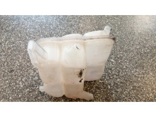 Расширительный бачок охлаждающей жидкости    