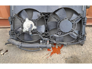 Turbodmychadlo Комплект радиатора 1350A206 Citroen C-Crosser