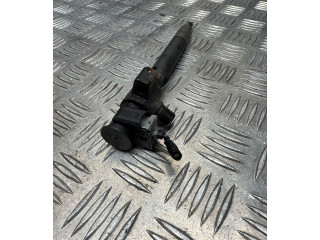 Vstřikovač 5P124S8K6N5, 3067b007f46 Ford Galaxy T8CJ