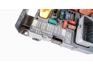 Комплект блоков управления 9666700480   Peugeot Partner