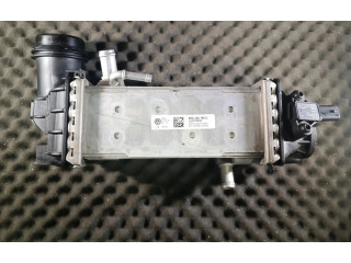 Интеркулер  05C145785C   Volkswagen Golf VIII 