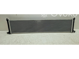 Радиатор охлаждающей жидкости 600737200A, 600737200 Tesla Model S