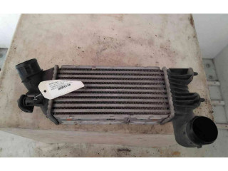 Интеркулер 384J8, 384J8 Peugeot 607