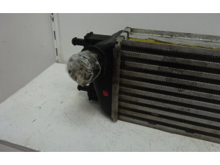 Интеркулер     Ford Ka 