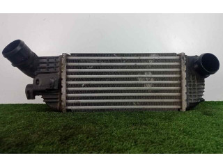 Интеркулер 9683009680, 300X155X80 Citroen C5