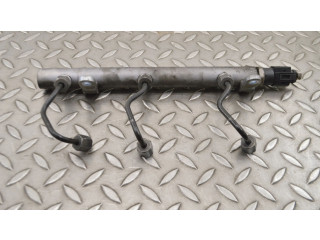 Vstřikovací lišta A6420700295, A6110780449 Mercedes-Benz S W221