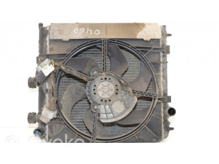 Вентилятор радиатора 1253H3, 1330E5 Citroen C3 1.4