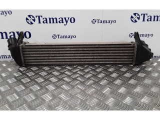 Интеркулер 8200409045 Dacia Logan Pick-Up